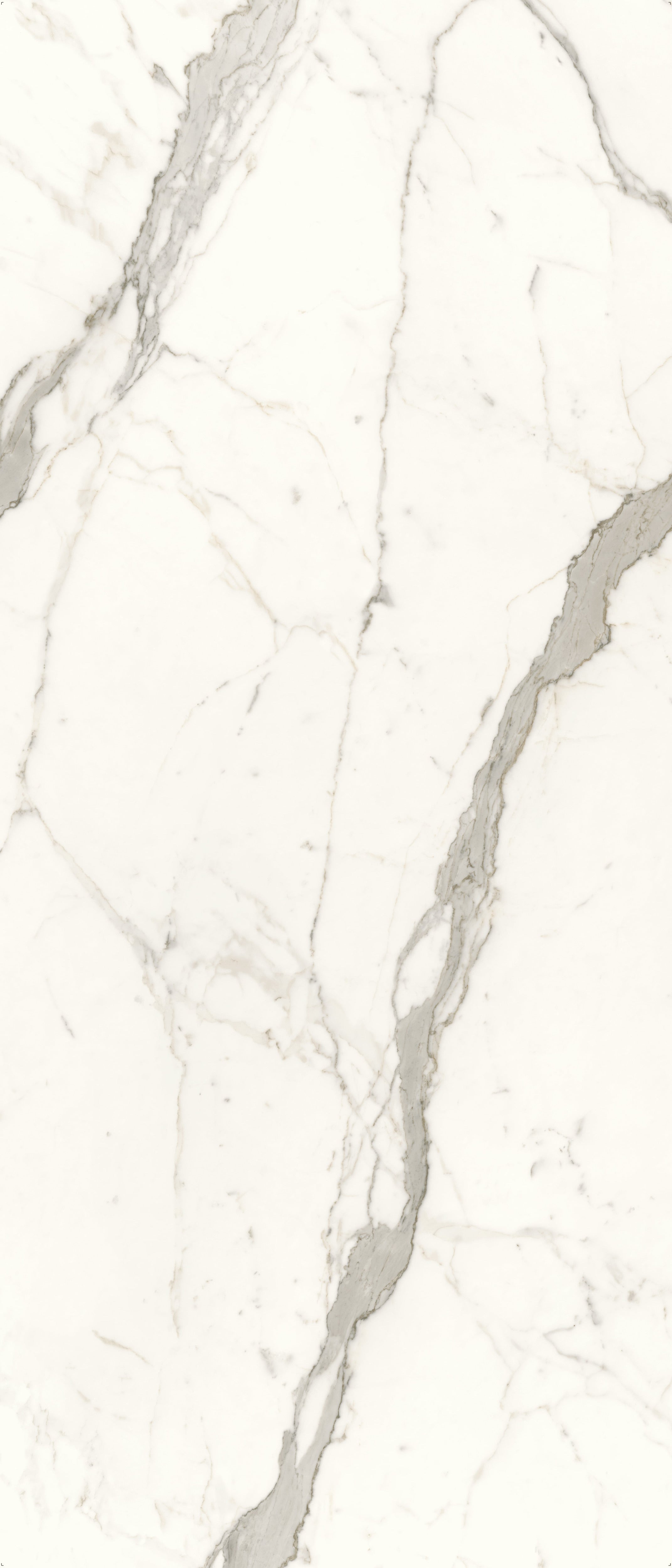 JEM 48x110 Polished Porcelain Tile in Capriccio Grey Bookmatch A