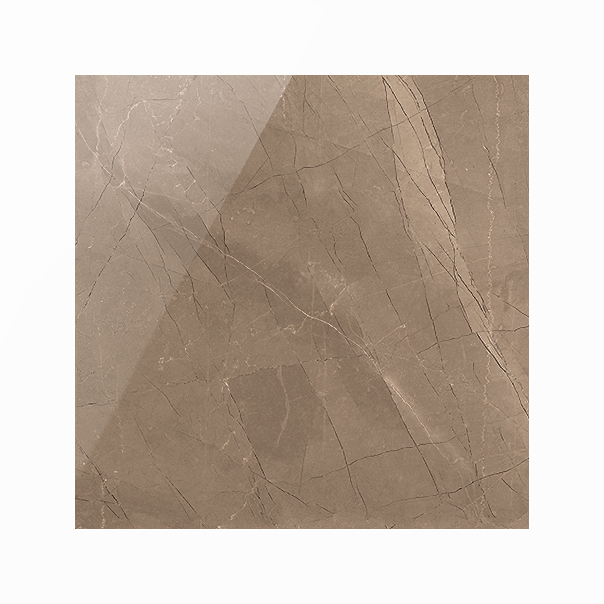 Luxury 12x12 Polished Porcelain Tile in Amani Bronze