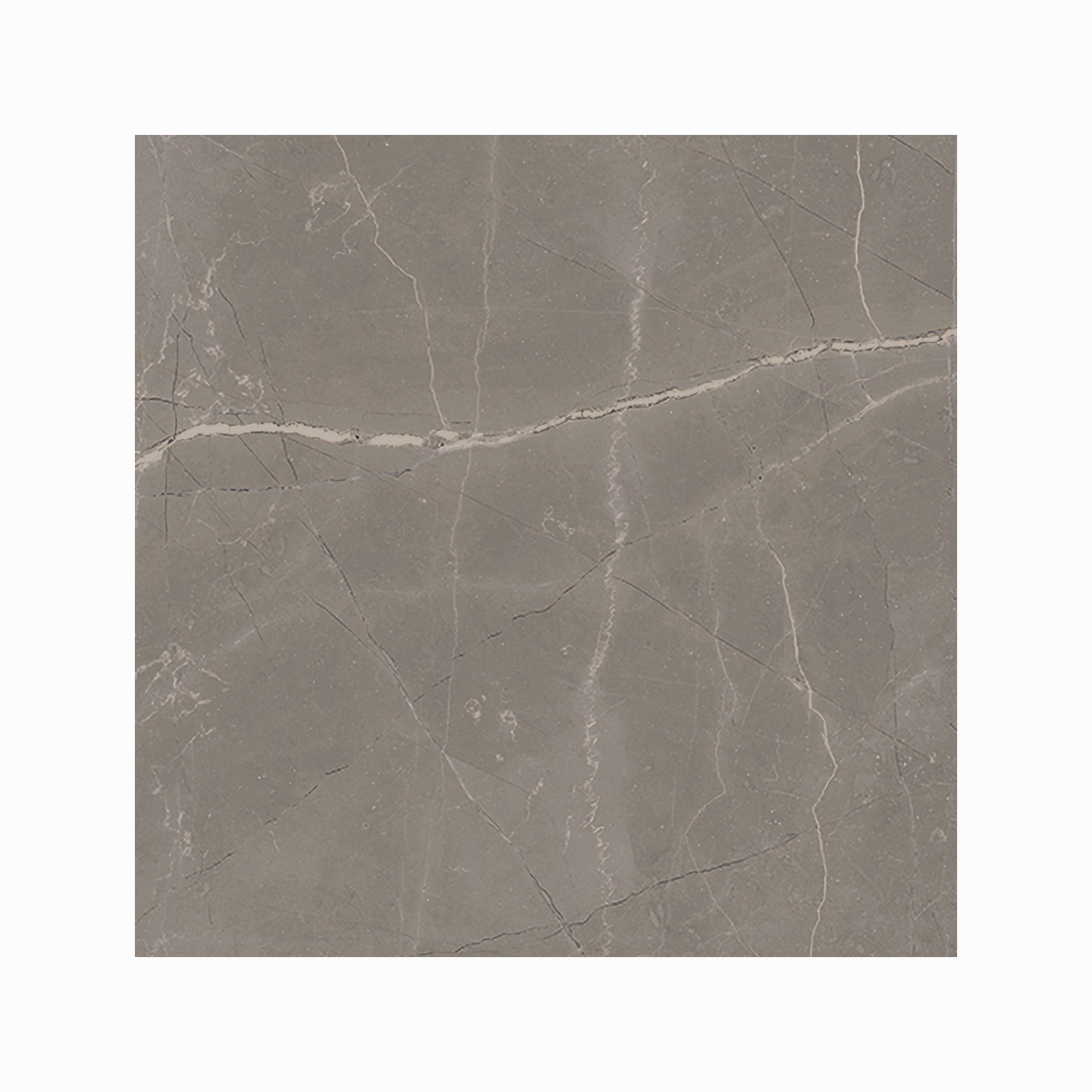 Luxury 12x12 Matte Porcelain Tile in Amani Grey