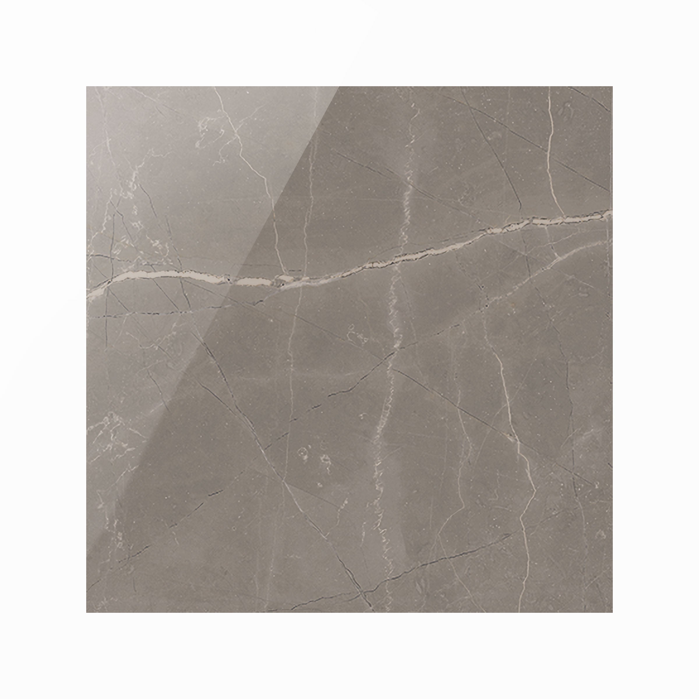 Luxury 12x12 Polished Porcelain Tile in Amani Grey