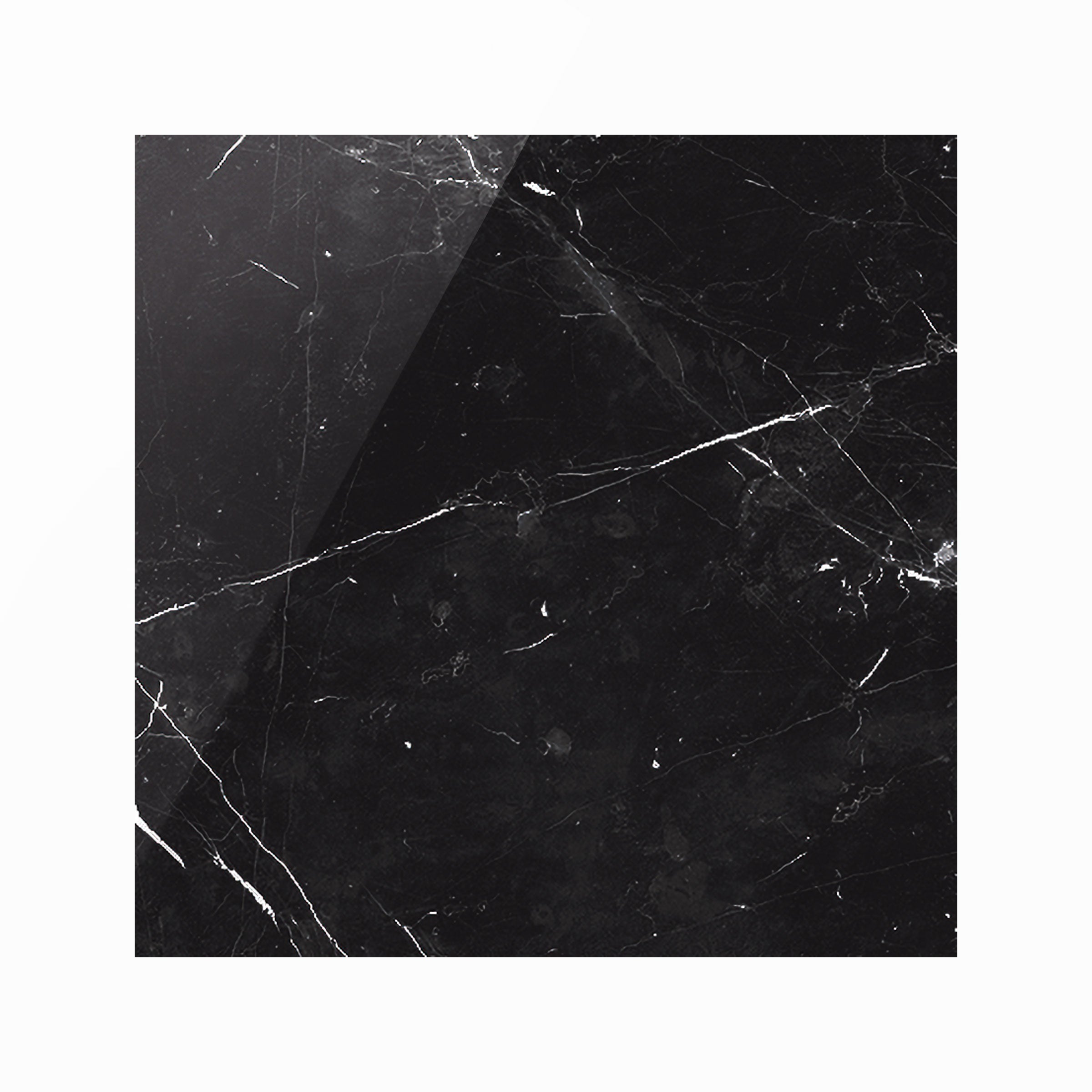 Luxury 12x12 Polished Porcelain Tile in Nero Marquina