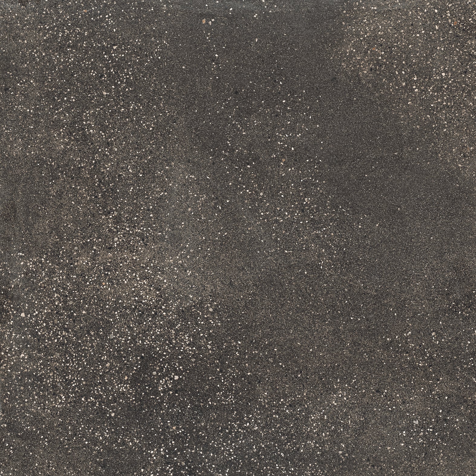 Area 51 24x24 Matte Porcelain Tile in Black