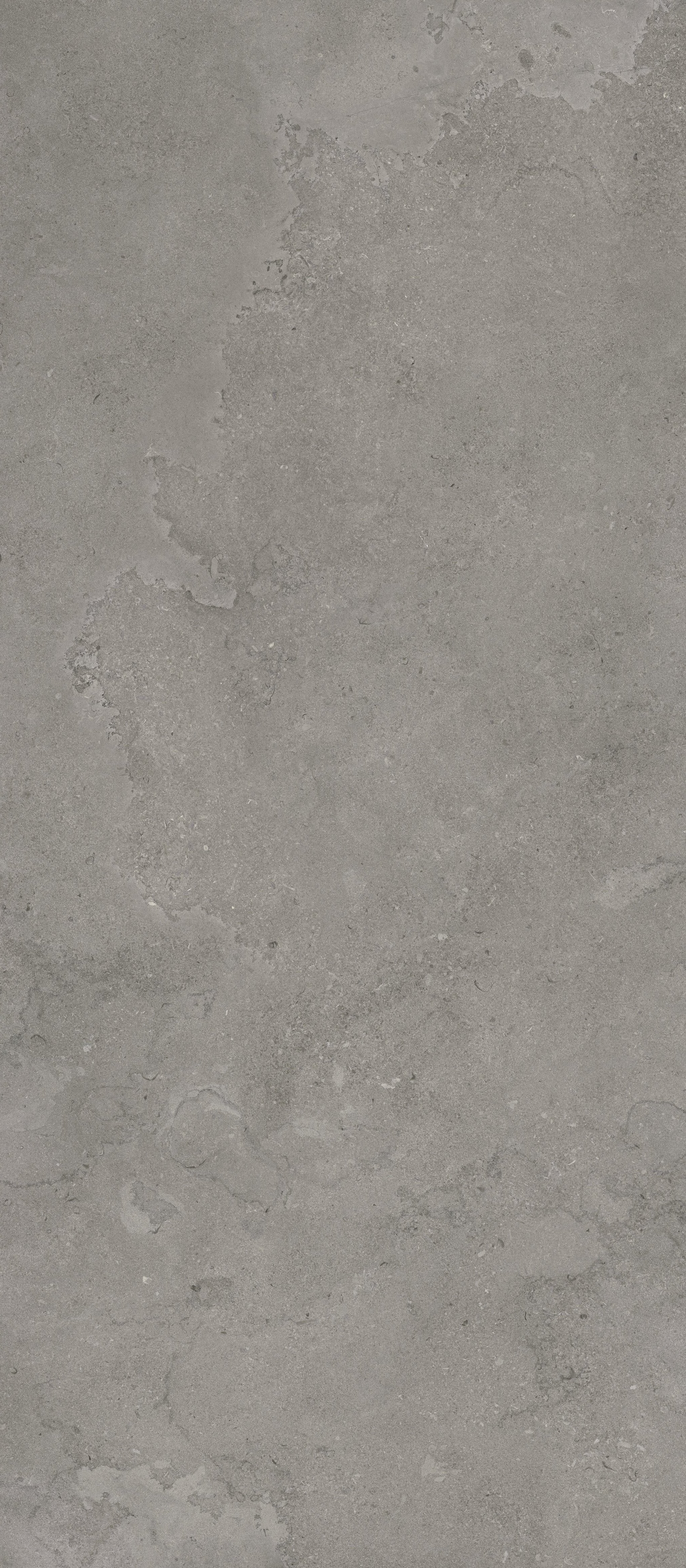 EcoStone 48x110 Matte Porcelain Tile in Cross-Cut Fossil