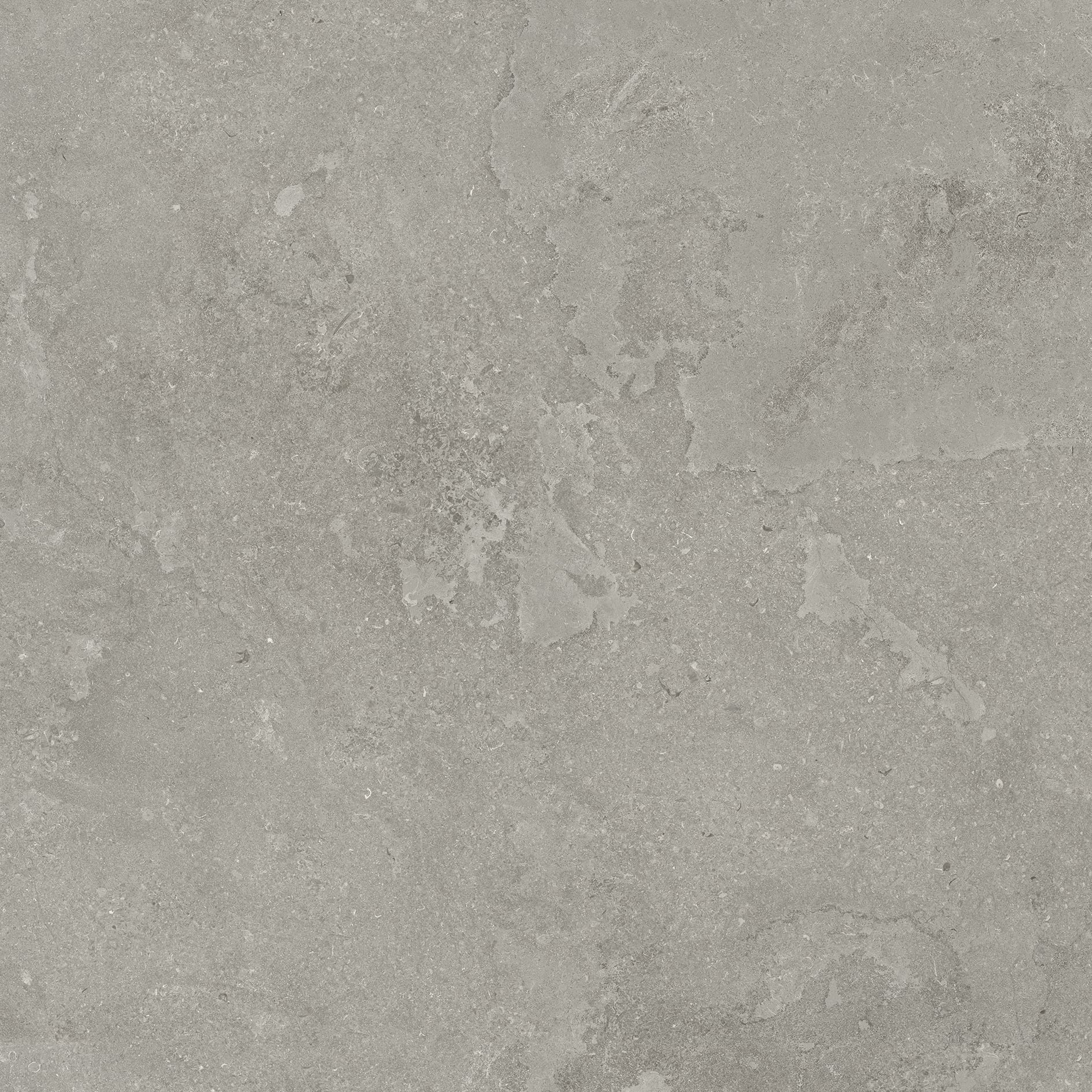 EcoStone 48x48 Matte Porcelain Tile in Cross-Cut Fossil