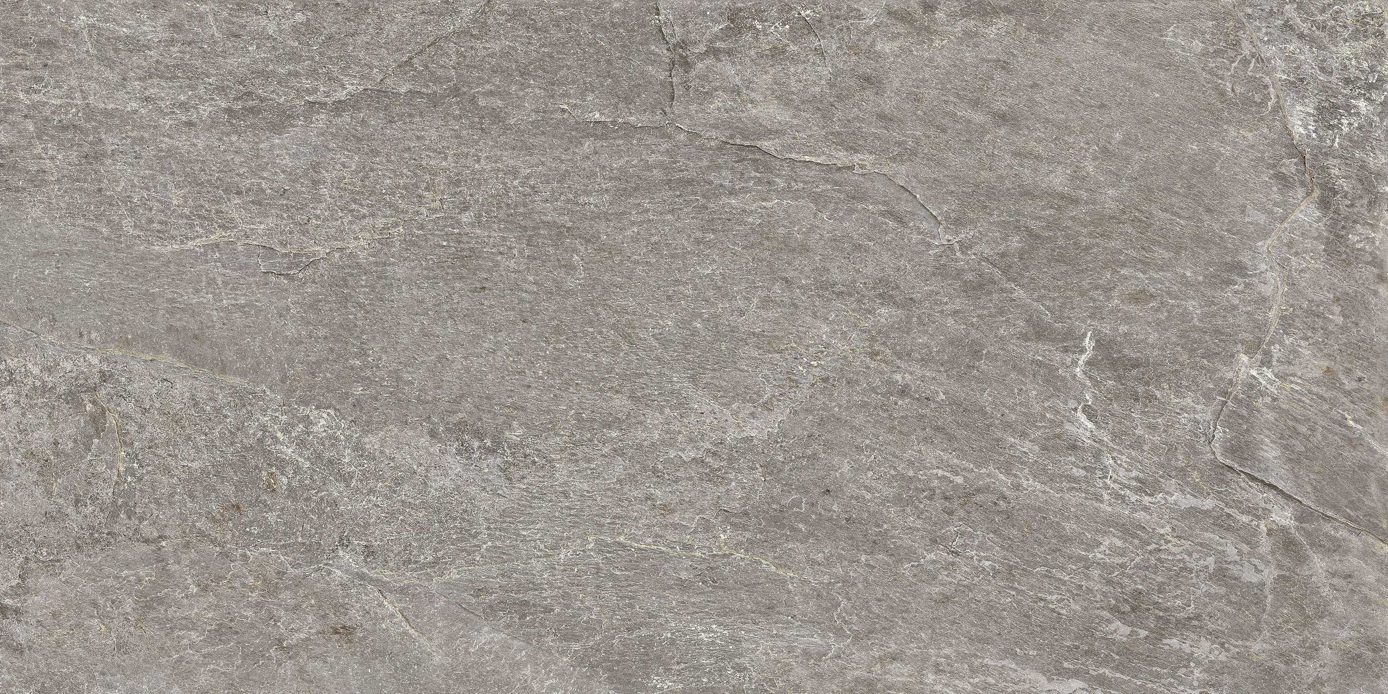 Farmhouse Living 24x48 Matte Porcelain Tile in Millstone