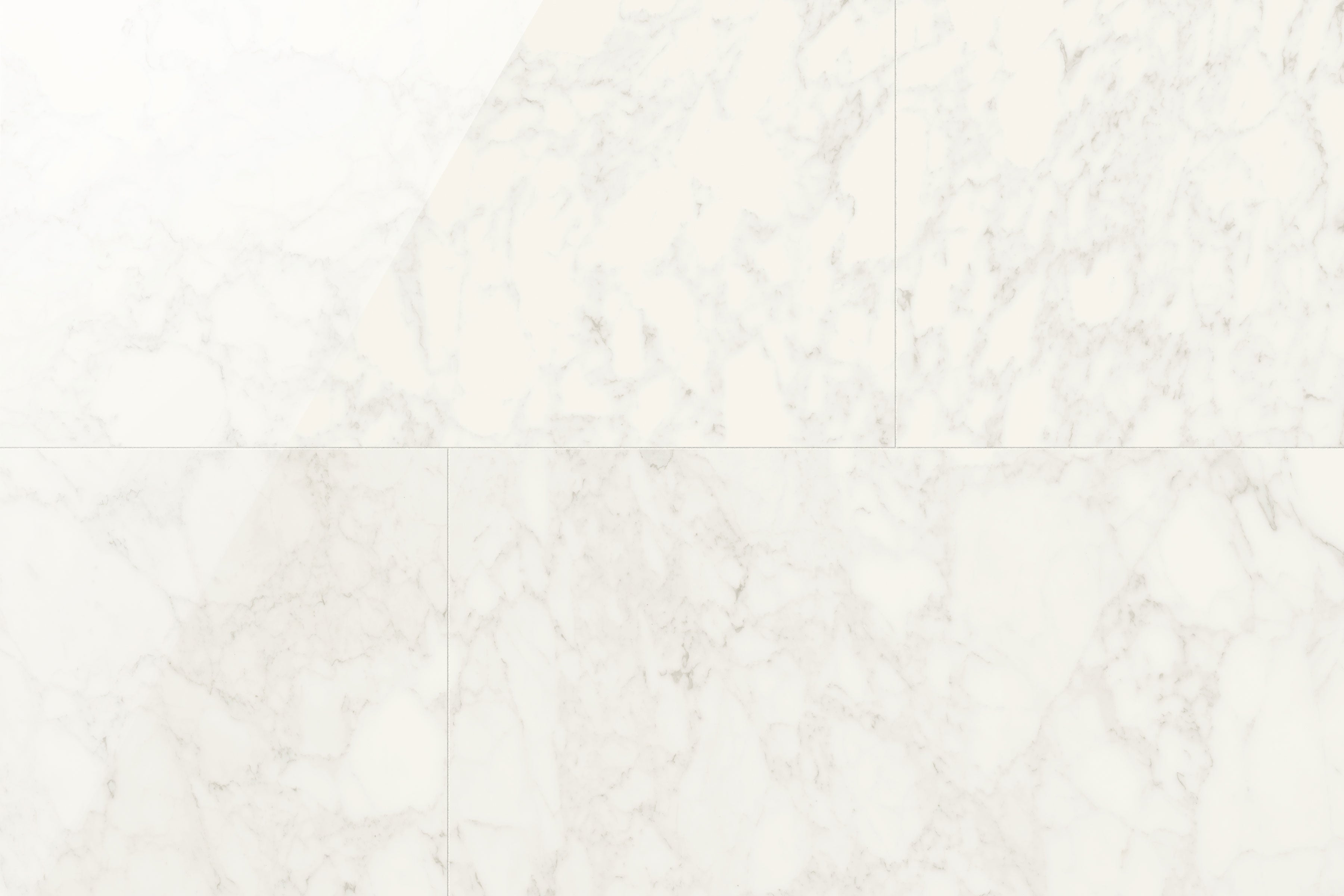 JEM 24x48 Polished Porcelain Tile in Adagio White