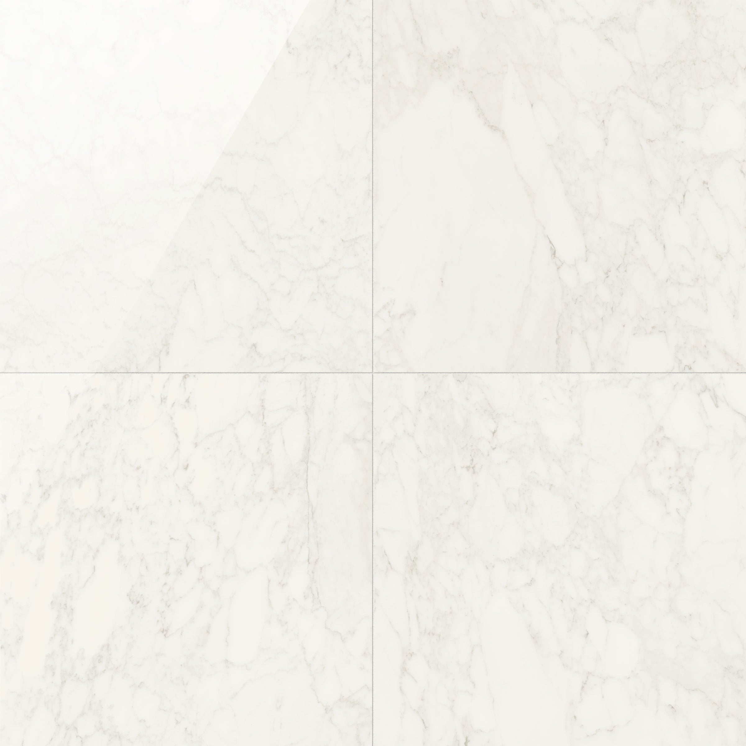 JEM 48x48 Polished Porcelain Tile in Adagio White