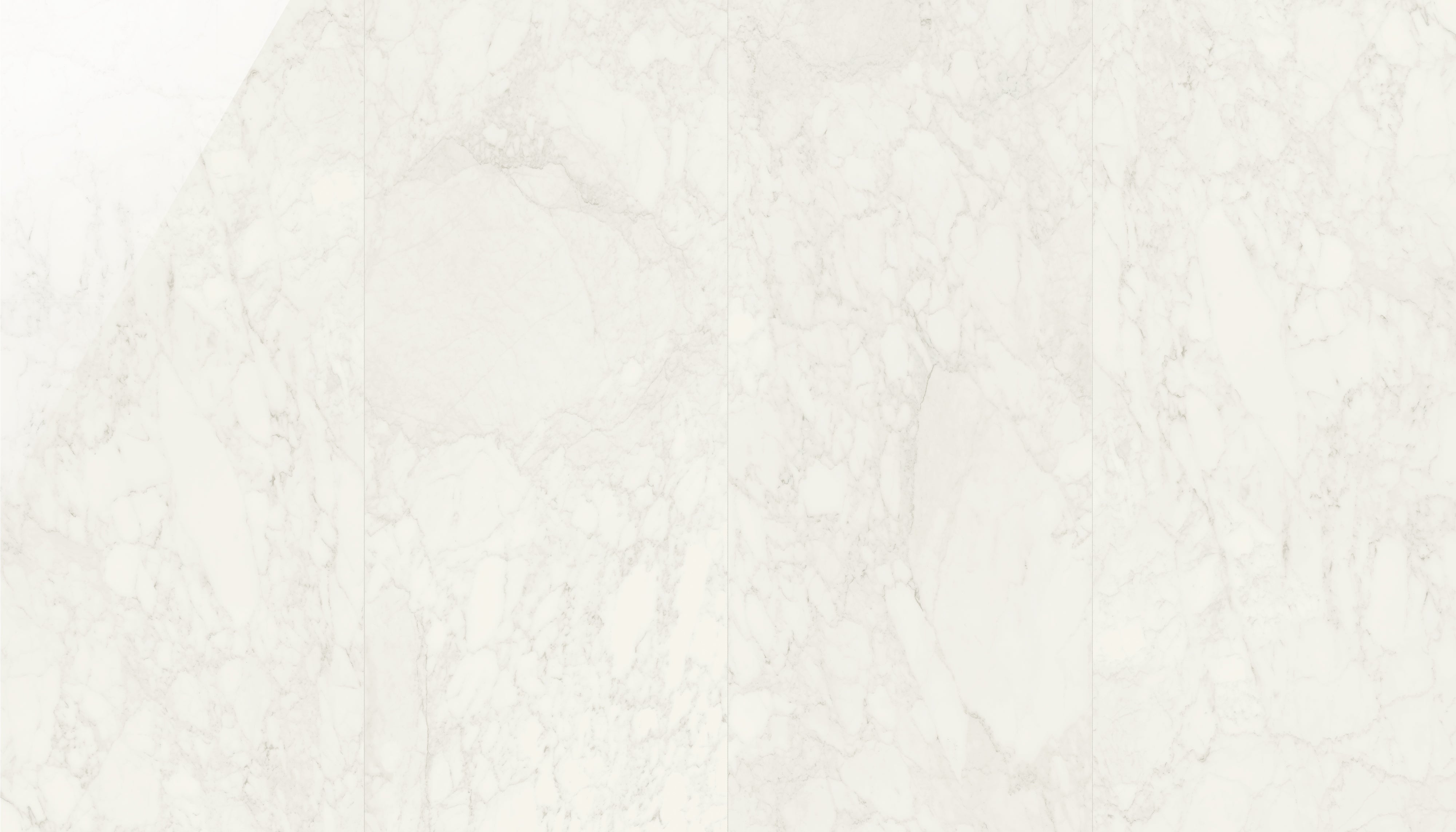 JEM 48x110 Polished Porcelain Tile in Adagio White