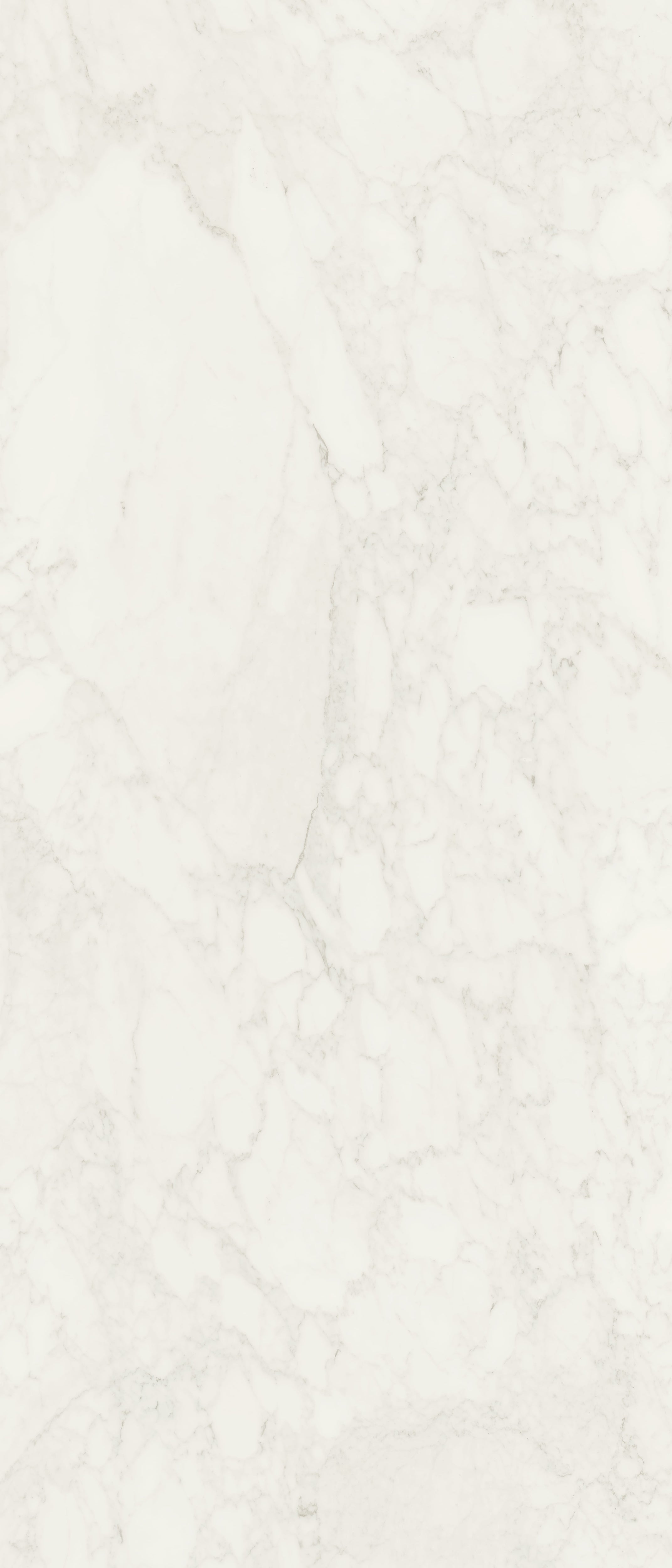 JEM 48x110 Matte Porcelain Tile in Adagio White