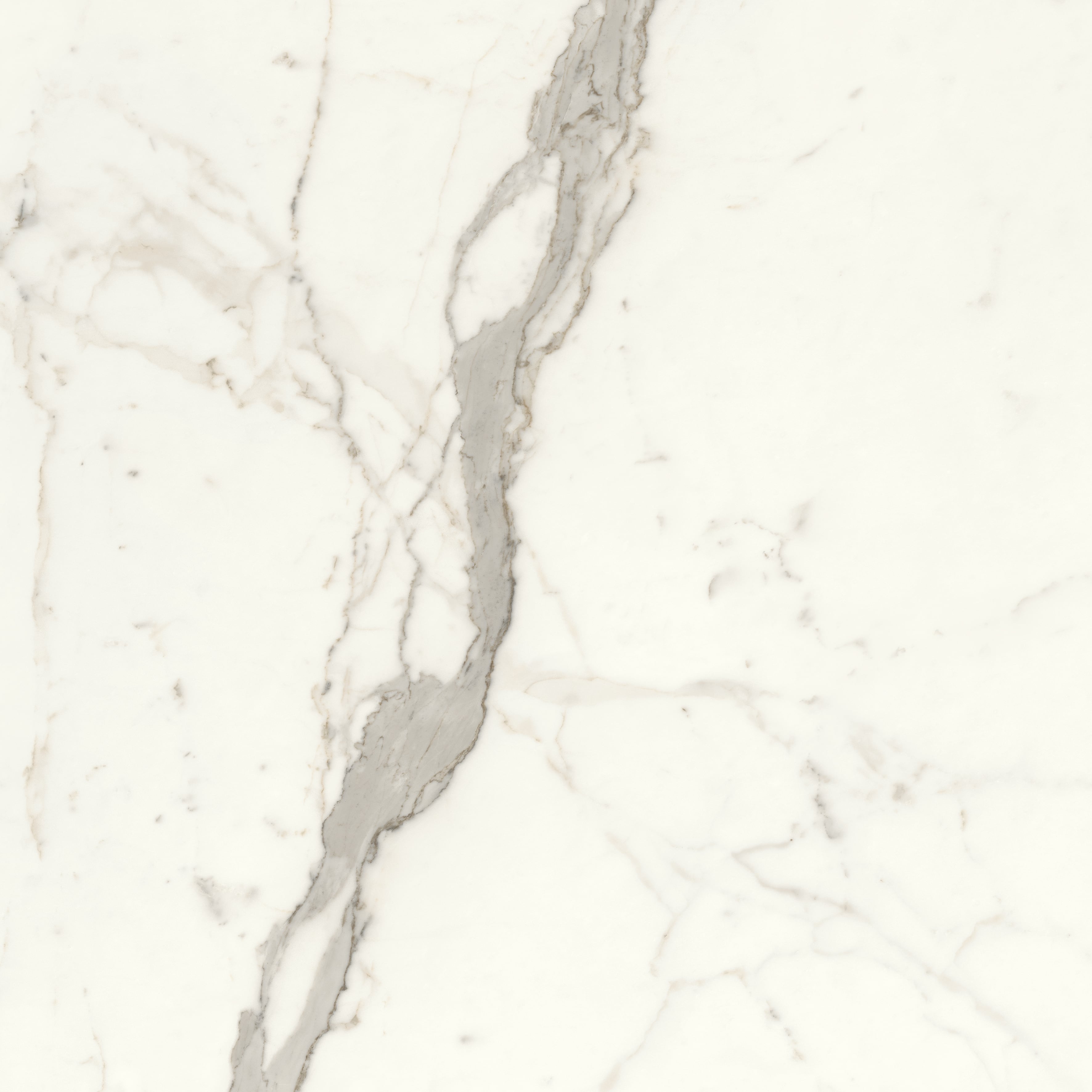 JEM 48x48 Polished Porcelain Tile in Capriccio Grey