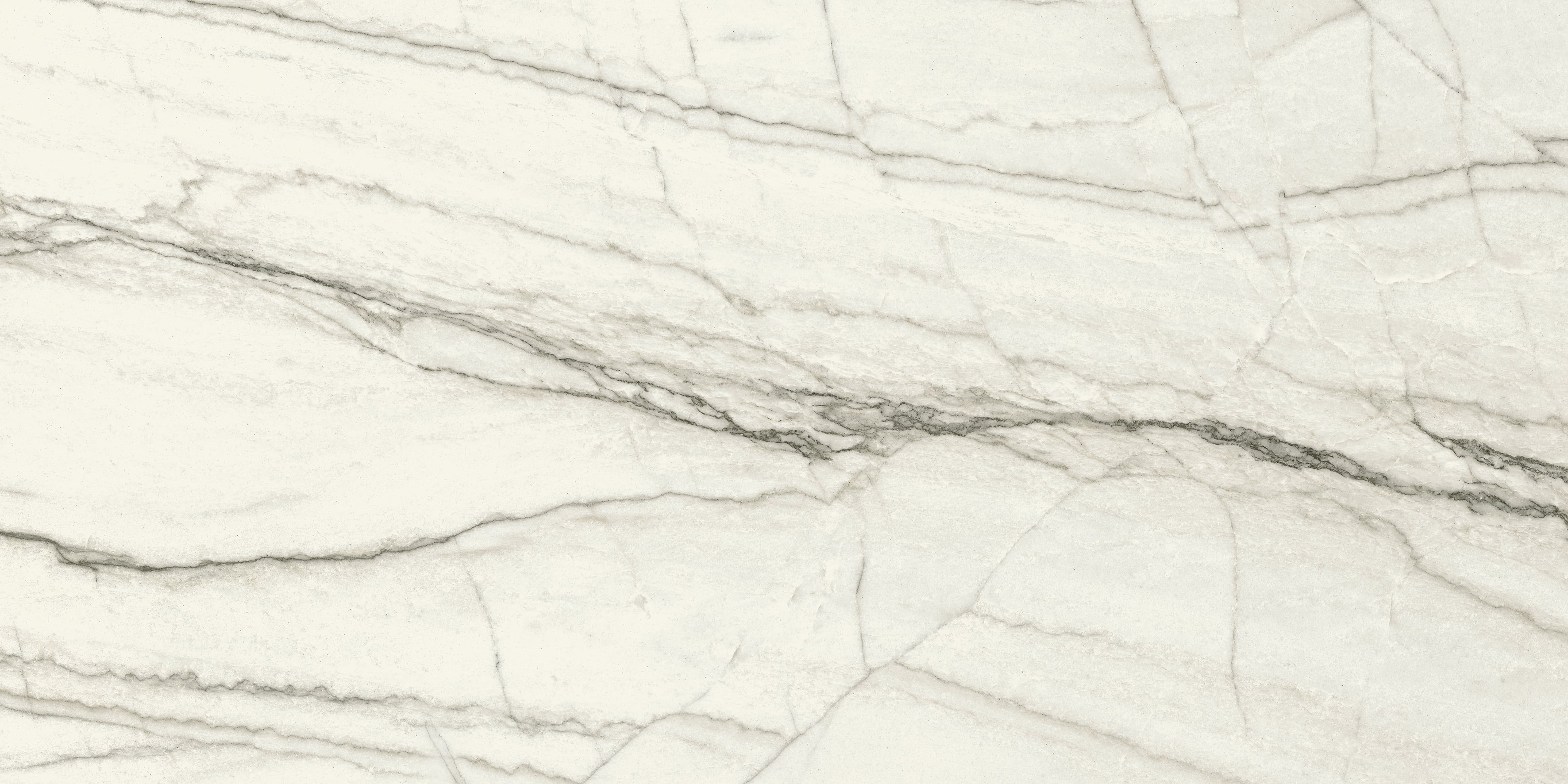 JEM 24x48 Polished Porcelain Tile in Forte White