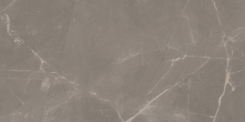 Luxury 12x24 Matte Porcelain Tile in Amani Grey