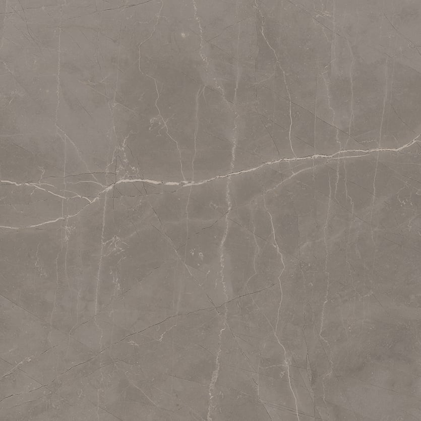 Luxury 24x24 Matte Porcelain Tile in Amani Grey