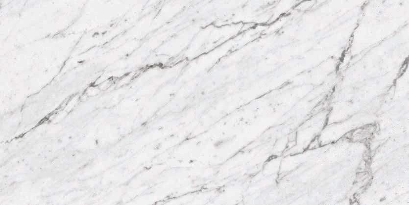 Marbles 12x24 Matte Porcelain Tile in Carrara White