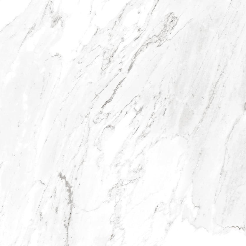 Marbles 24x24 Matte Porcelain Tile in Carrara White