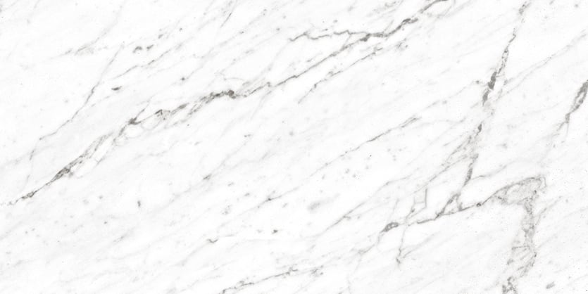 Marbles 24x48 Matte Porcelain Tile in Carrara White