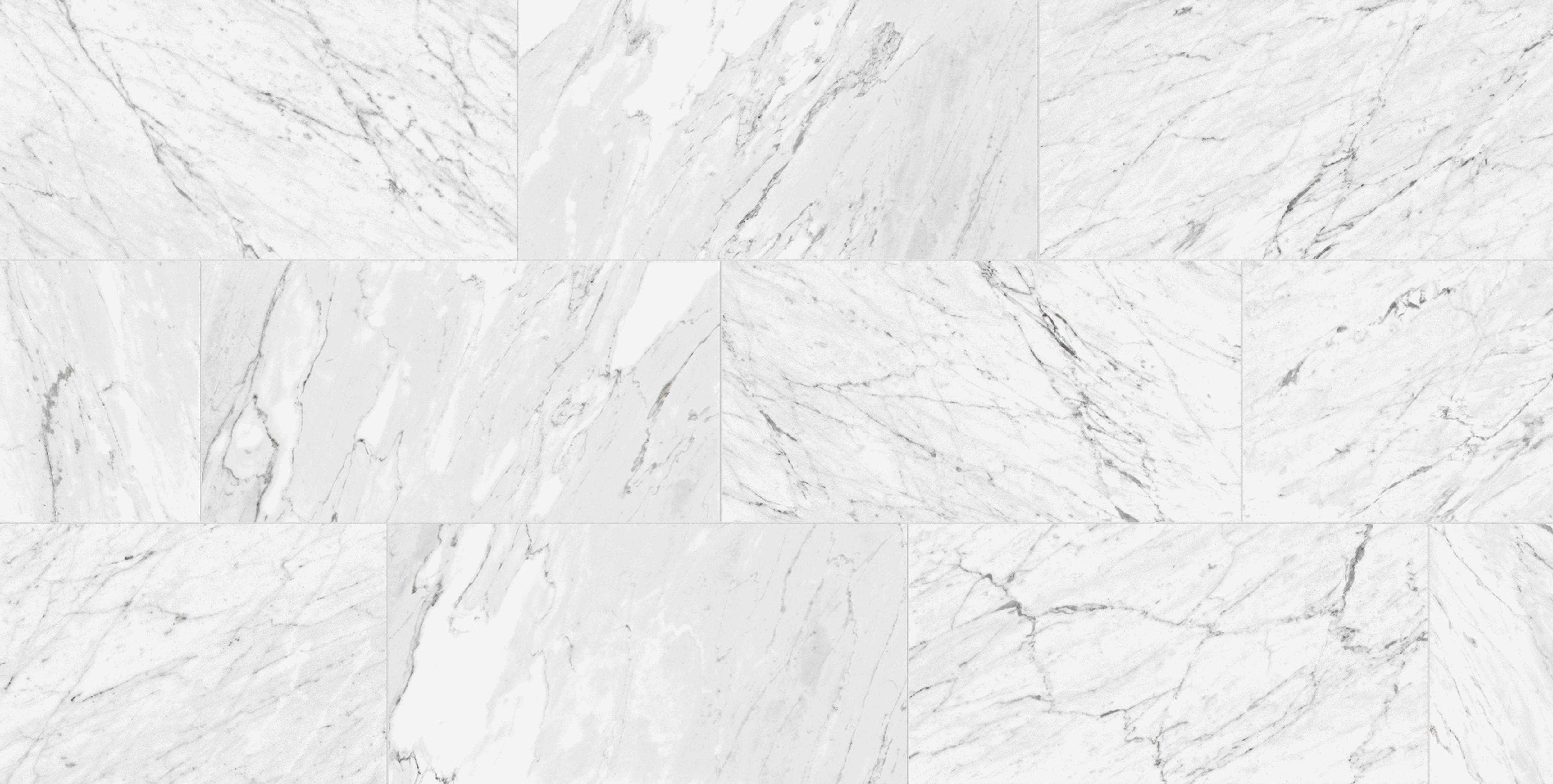 Marbles 24x48 Matte Porcelain Tile in Carrara White