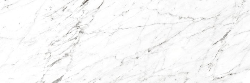 Marbles 8x24 Polished Porcelain Tile in Carrara White