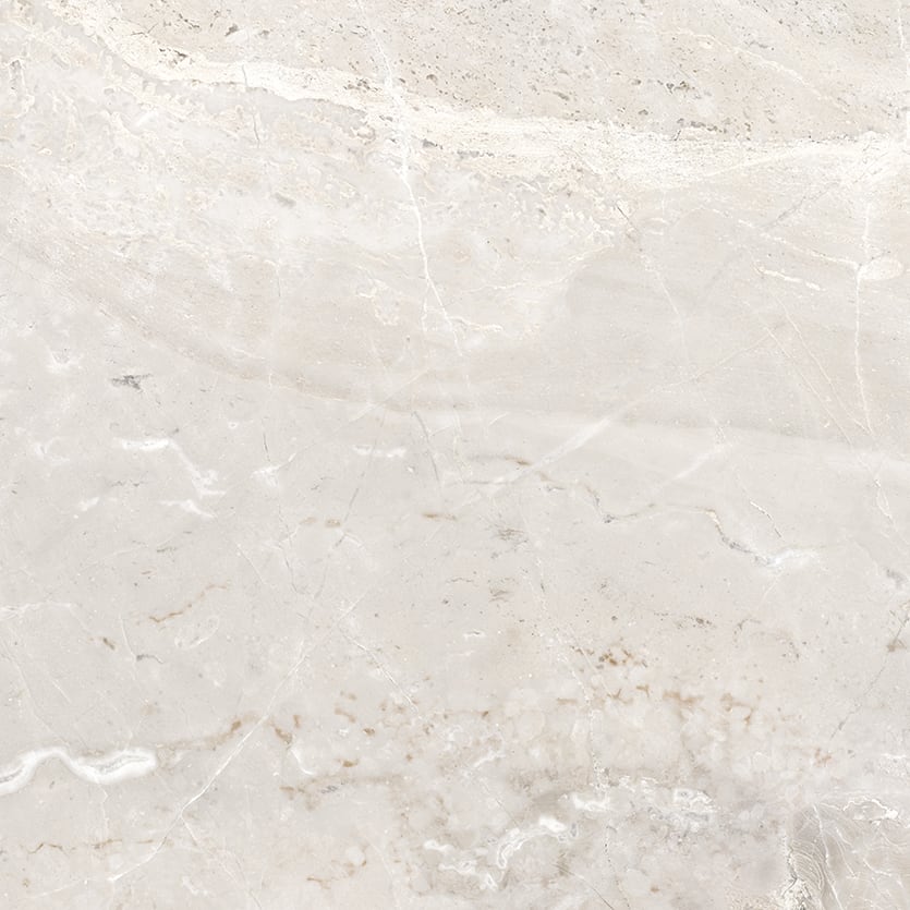 Marbles 24x24 Matte Porcelain Tile in Oniciata Ivory