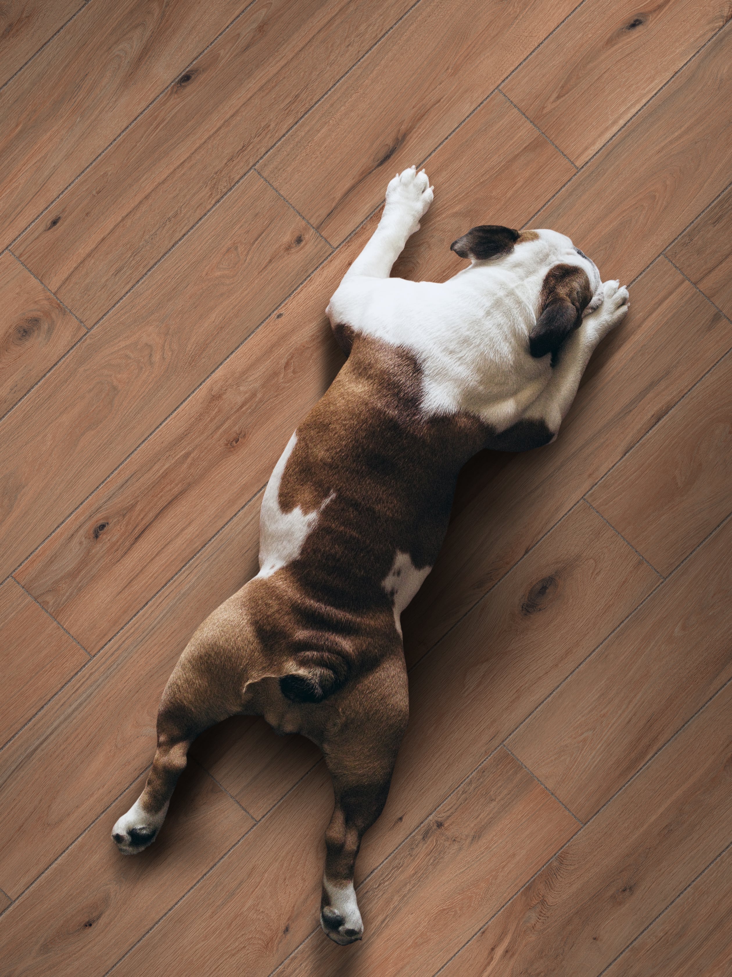 Native 8x48 Matte Porcelain Tile in Chestnut