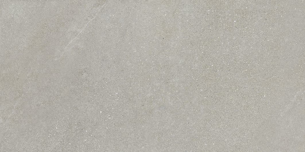 Tycoon 16x32 Matte Porcelain Tile in Smoke