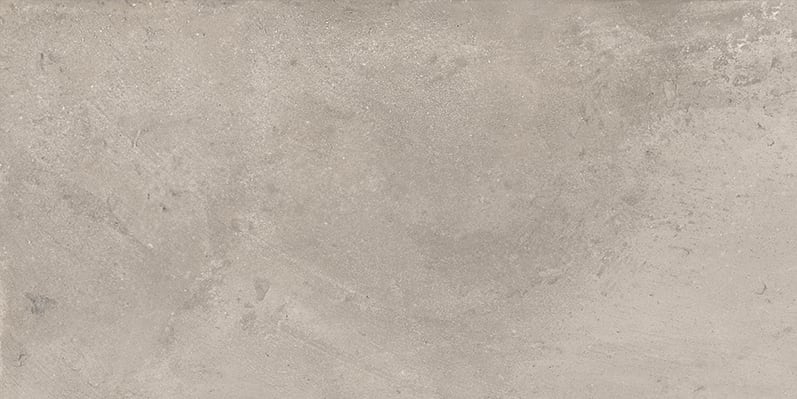 +One 12x24 Polished Porcelain Tile in Greige