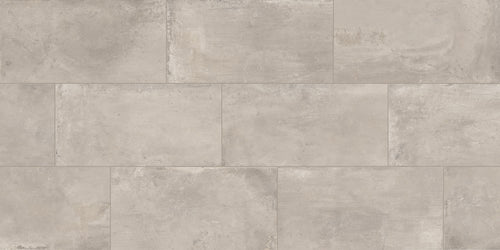 +One 12x24 Polished Porcelain Tile in Greige