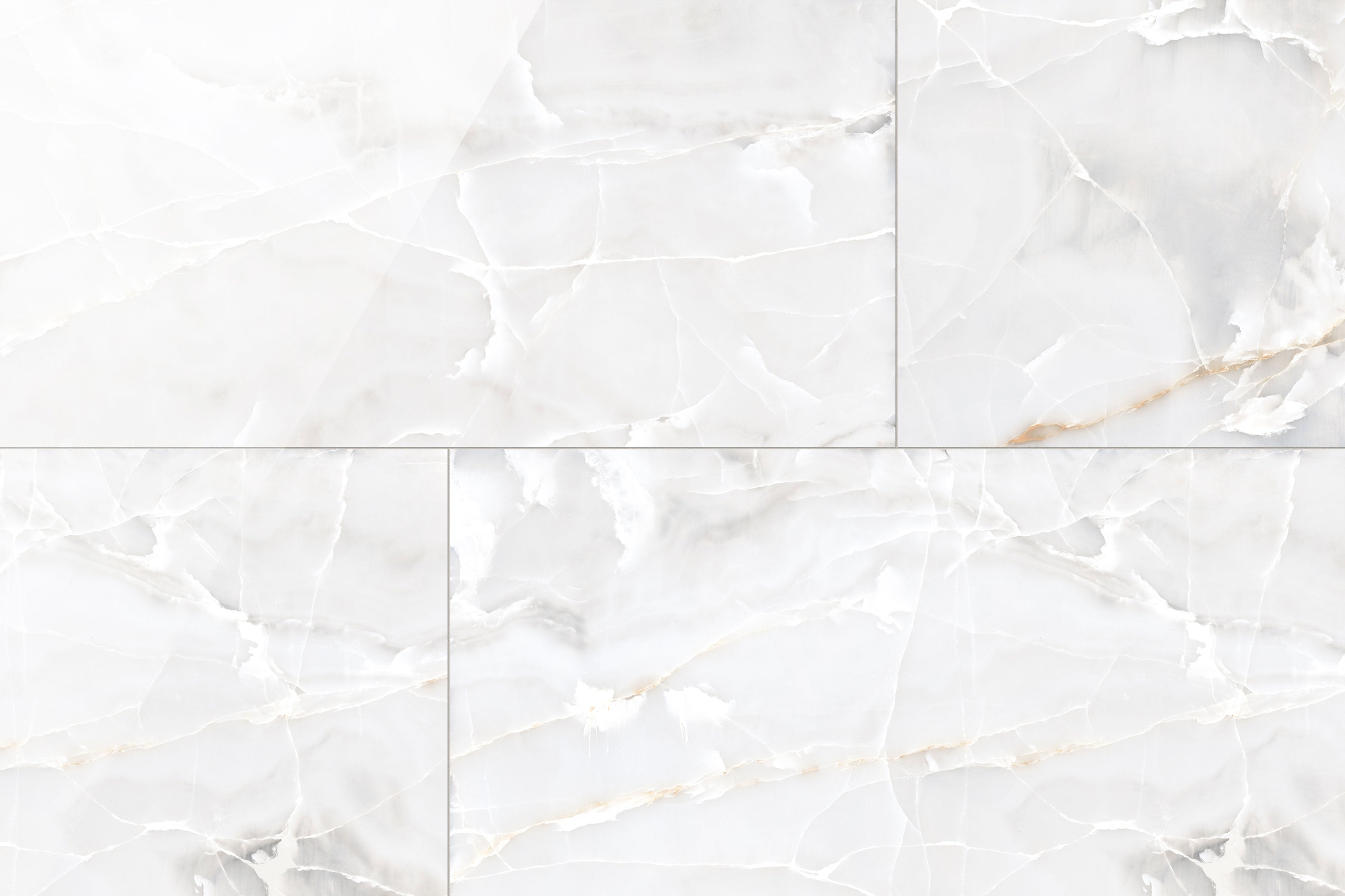 Onyx 24x48 Polished Porcelain Tile in White