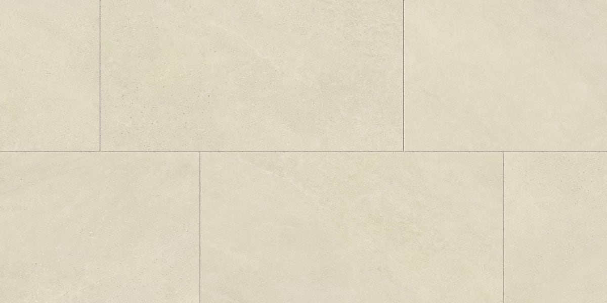 Tycoon 24x48 Matte Porcelain Tile in Polar