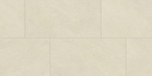 Tycoon 24x48 Matte Porcelain Tile in Polar